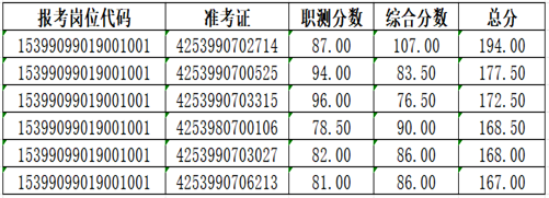 2025年下半年云南民族中学招聘人员资格复审公告