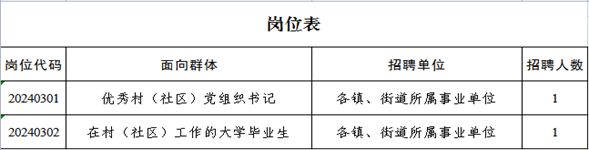 2024年淮北市杜集区从优秀村（社区）党组织书记招聘镇、街道事业单位2人公告