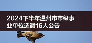 2024下半年温州市市级事业单位选调16人公告