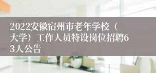 2022安徽宿州市老年学校（大学）工作人员特设岗位招聘63人公告