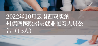 2022年10月云南西双版纳州傣医医院招录就业见习人员公告（15人）