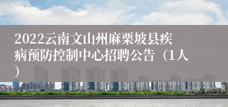 2022云南文山州麻栗坡县疾病预防控制中心招聘公告（1人）