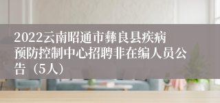 2022云南昭通市彝良县疾病预防控制中心招聘非在编人员公告（5人）