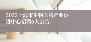 2022上海市生物医药产业促进中心招聘6人公告