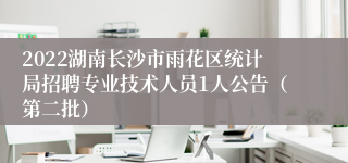 2022湖南长沙市雨花区统计局招聘专业技术人员1人公告（第二批）