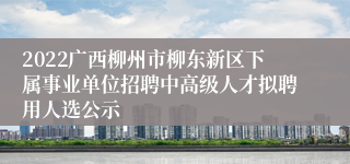 2022广西柳州市柳东新区下属事业单位招聘中高级人才拟聘用人选公示