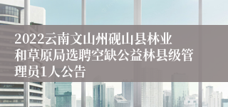 2022云南文山州砚山县林业和草原局选聘空缺公益林县级管理员1人公告