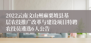 2022云南文山州麻栗坡县基层农技推广改革与建设项目特聘农技员遴选6人公告