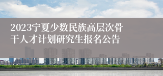 2023宁夏少数民族高层次骨干人才计划研究生报名公告