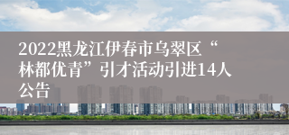 2022黑龙江伊春市乌翠区“林都优青”引才活动引进14人公告