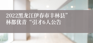 2022黑龙江伊春市丰林县”林都优青“引才6人公告