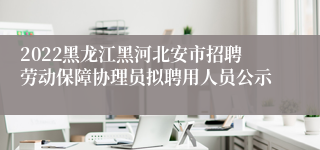 2022黑龙江黑河北安市招聘劳动保障协理员拟聘用人员公示