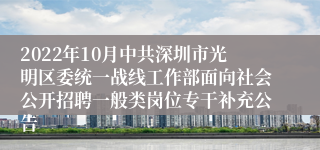 2022年10月中共深圳市光明区委统一战线工作部面向社会公开招聘一般类岗位专干补充公告