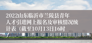 2022山东临沂市兰陵县青年人才引进网上报名及审核情况统计表（截至10月13日16时）