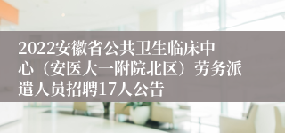 2022安徽省公共卫生临床中心（安医大一附院北区）劳务派遣人员招聘17人公告