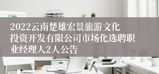 2022云南楚雄宏景旅游文化投资开发有限公司市场化选聘职业经理人2人公告