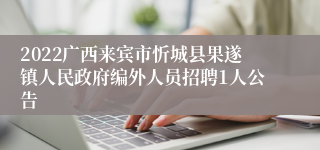 2022广西来宾市忻城县果遂镇人民政府编外人员招聘1人公告