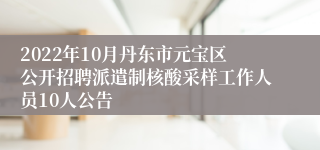 2022年10月丹东市元宝区公开招聘派遣制核酸采样工作人员10人公告