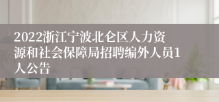 2022浙江宁波北仑区人力资源和社会保障局招聘编外人员1人公告