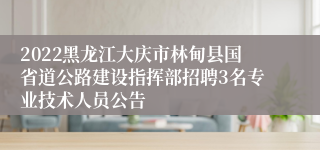 2022黑龙江大庆市林甸县国省道公路建设指挥部招聘3名专业技术人员公告