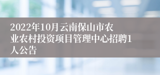 2022年10月云南保山市农业农村投资项目管理中心招聘1人公告