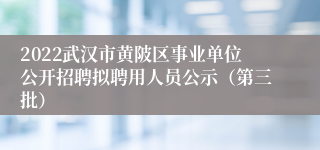 2022武汉市黄陂区事业单位公开招聘拟聘用人员公示（第三批）