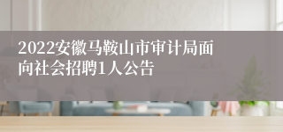 2022安徽马鞍山市审计局面向社会招聘1人公告