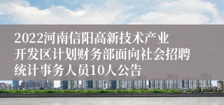 2022河南信阳高新技术产业开发区计划财务部面向社会招聘统计事务人员10人公告