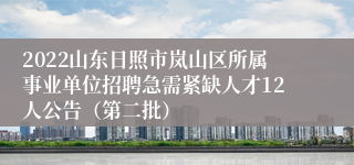 2022山东日照市岚山区所属事业单位招聘急需紧缺人才12人公告（第二批）