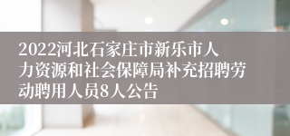 2022河北石家庄市新乐市人力资源和社会保障局补充招聘劳动聘用人员8人公告