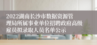 2022湖南长沙市数据资源管理局所属事业单位招聘政府高级雇员拟录取人员名单公示