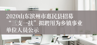 2020山东滨州市惠民县招募“三支一扶”拟聘用为乡镇事业单位人员公示