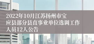 2022年10月江苏扬州市宝应县部分县直事业单位选调工作人员12人公告