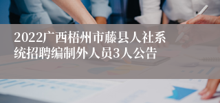 2022广西梧州市藤县人社系统招聘编制外人员3人公告