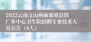 2022云南文山州麻栗坡县铁厂乡中心卫生院招聘专业技术人员公告（4人）