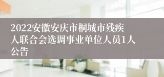 2022安徽安庆市桐城市残疾人联合会选调事业单位人员1人公告