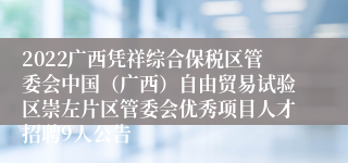 2022广西凭祥综合保税区管委会中国（广西）自由贸易试验区崇左片区管委会优秀项目人才招聘9人公告