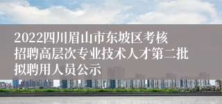 2022四川眉山市东坡区考核招聘高层次专业技术人才第二批拟聘用人员公示