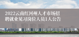 2022云南红河州人才市场招聘就业见习岗位人员1人公告