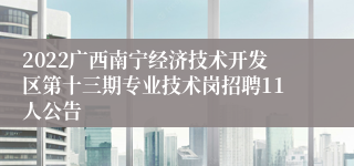 2022广西南宁经济技术开发区第十三期专业技术岗招聘11人公告