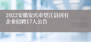 2022安徽安庆市望江县国有企业招聘17人公告