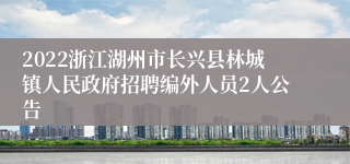 2022浙江湖州市长兴县林城镇人民政府招聘编外人员2人公告