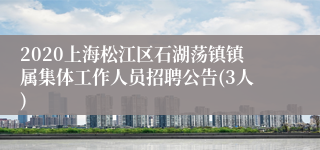 2020上海松江区石湖荡镇镇属集体工作人员招聘公告(3人)