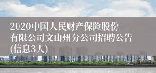 2020中国人民财产保险股份有限公司文山州分公司招聘公告(信息3人)