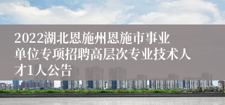 2022湖北恩施州恩施市事业单位专项招聘高层次专业技术人才1人公告