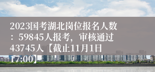 2023国考湖北岗位报名人数：59845人报考，审核通过43745人【截止11月1日17:00】