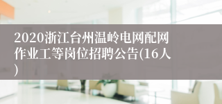 2020浙江台州温岭电网配网作业工等岗位招聘公告(16人)