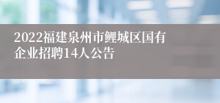 2022福建泉州市鲤城区国有企业招聘14人公告