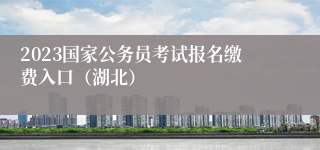 2023国家公务员考试报名缴费入口（湖北）