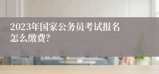 2023年国家公务员考试报名怎么缴费？